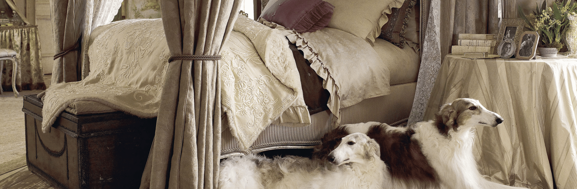 Dog laying beside an elegant bed.